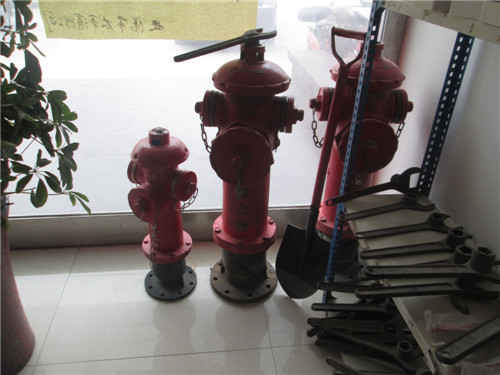 公司環境